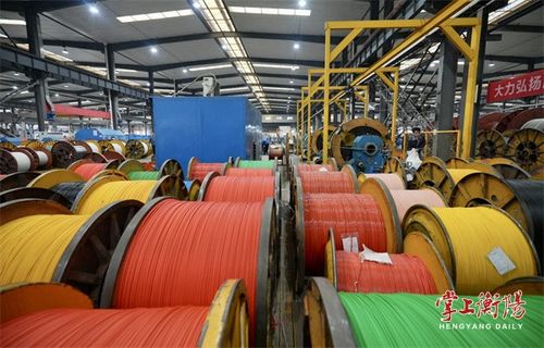 衡阳市人民政府门户网站 不虚此行, 电 出合作 火花 2023湖南输变电产业发展高峰论坛嘉宾参观衡阳输变电企业