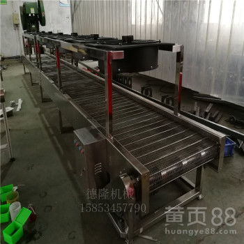 【不锈钢链网降温流水线色母粒风冷生产输送机】- 