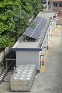一图探秘 电莞家 社会责任基地