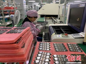 雁城 衡阳产业 雁阵 飞向国际化