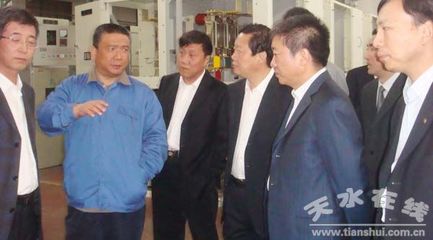 中国西电集团领导考察天水长开公司 杨维俊陪同(图)