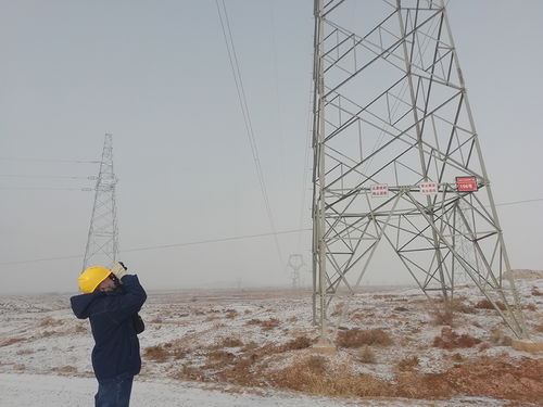 全力应对降雪冰冻天气 圆满完成春节保供电任务