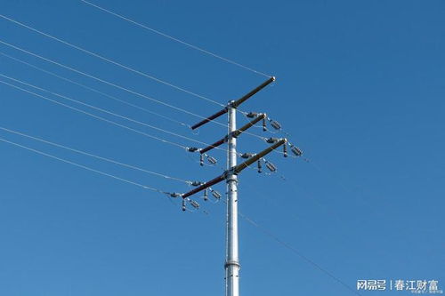 超超临界发电 带火电网设备 市盈率最低的五朵金花 或被低估