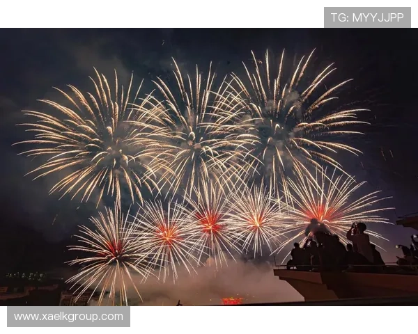 拥抱每一刻花火：点燃生活的璀璨瞬间